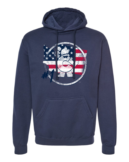 Picture of WA - Tultex Navy Sweatshirt